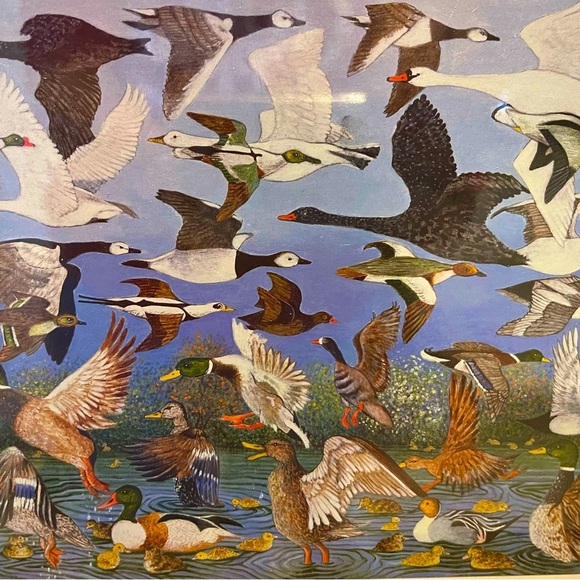 NIP Pomegranate Pat Scott 500 Piece Puzzle Geese Themed “Taking Off” - Picture 3 of 4